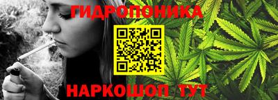 спиды Краснознаменск