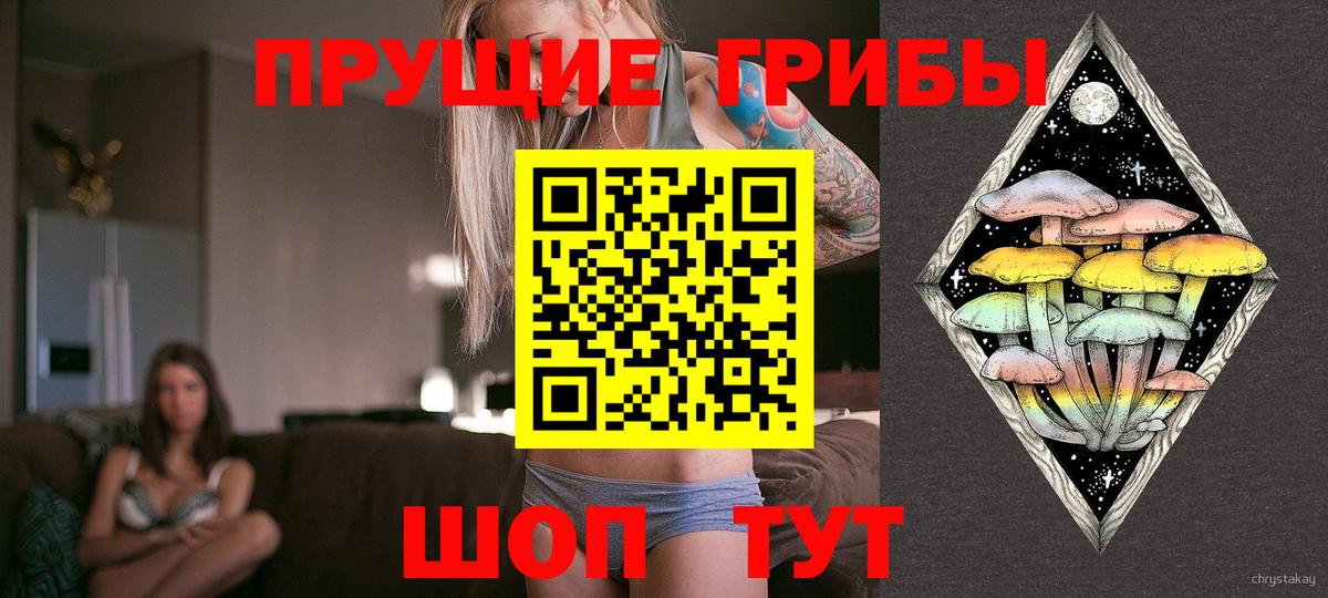 Псилоцибиновые грибы Psilocybine cubensis  Вход с VPN  Калуга 